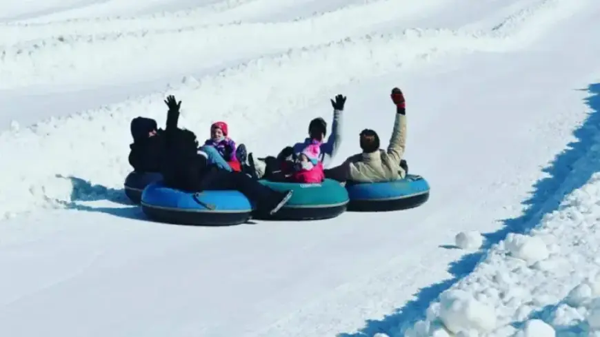 Family Day: Discover What’s Open and Closed