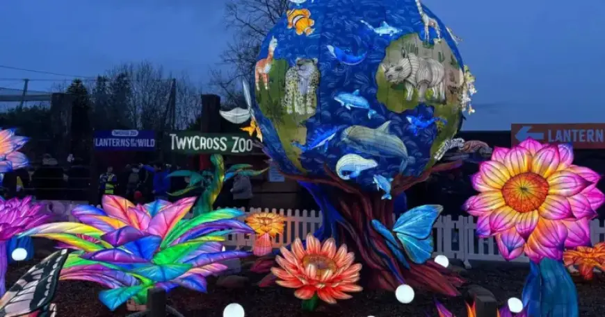 Discover This Stunning Outdoor Light Trail: Tickets from £14, Limited Time Offer