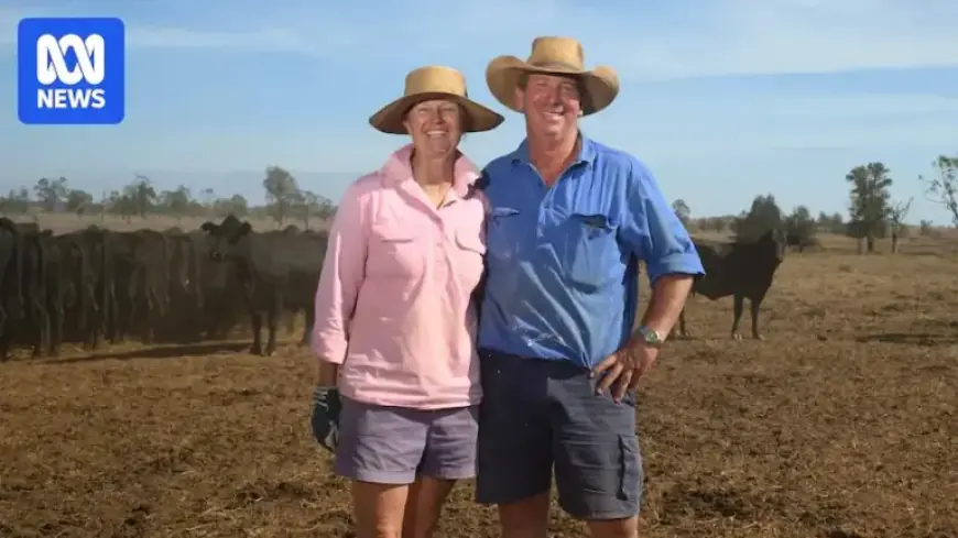 Rain Breaks Dry Spell, Queensland Farmers Celebrate