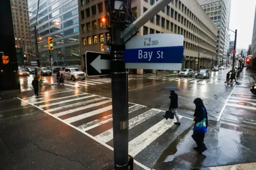 Discover a High-Yield Portfolio for Dividend Enthusiasts