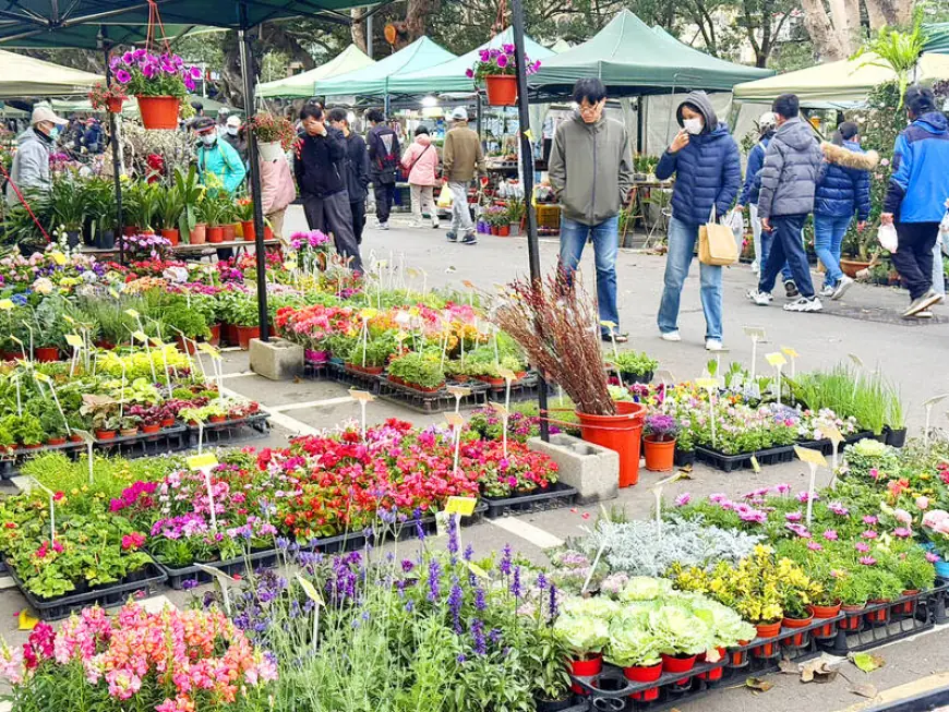 Lunar New Year 2026: Year of the Fire Horse arrives amid blooms, feasts and fresh online controls