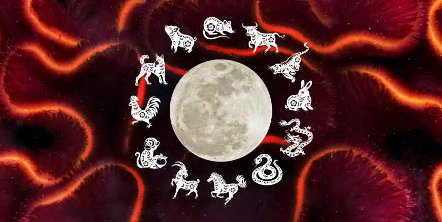 Lunar New Year 2026: Find Your Chinese Zodiac Animal and What It Means