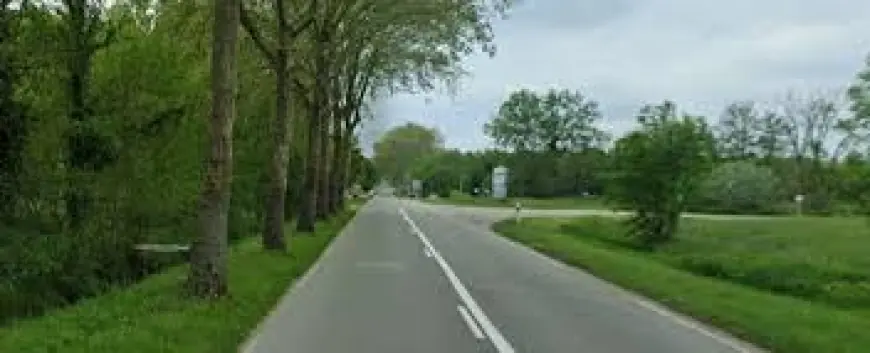 Ain: New Festival Buzz Around South Asian Debut Sparks Industry Interest