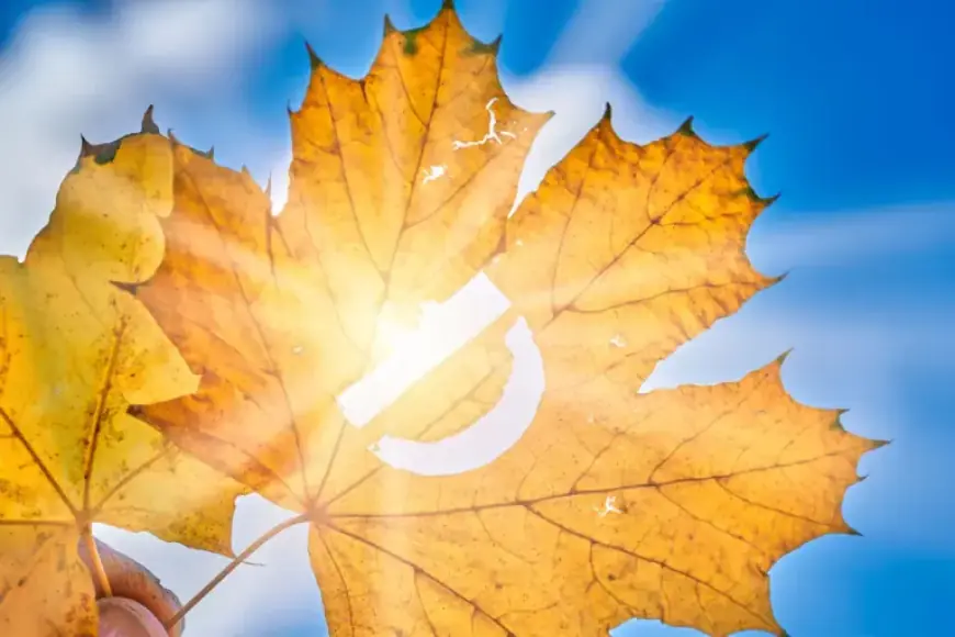 Severe Vitamin D Deficiency Increases Risk of Respiratory Infections