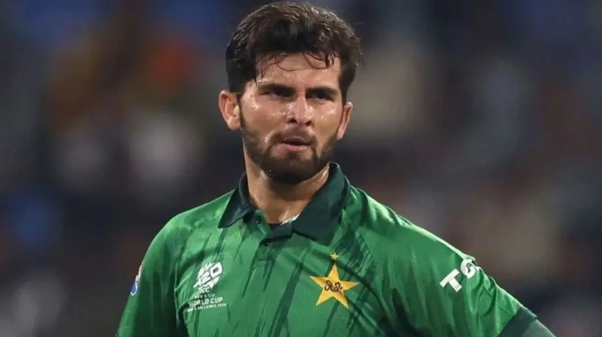 Mohammad Amir Urges salman mirza Pick Over Shaheen Afridi Ahead of India Clash
