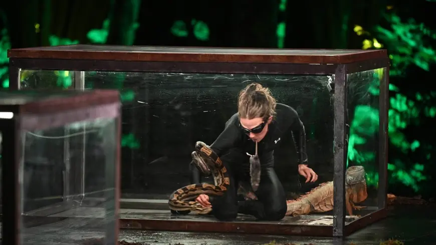 fear factor house of fear: contestants recount snake tanks, rodent mouth-passes and life after the show