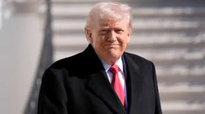 irs tax refund outlook: Trump touts possible 20% returns as early IRS data shows bigger checks