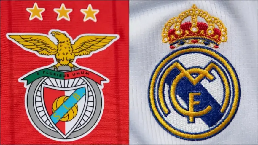 Benfica Clashes with Real Madrid: Preview, Predictions, and Lineups