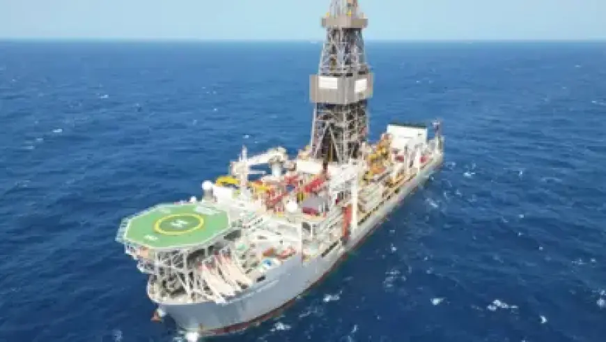 Millie Bobby Brown Shines in Stunning Photos for 22nd Birthday Celebration!