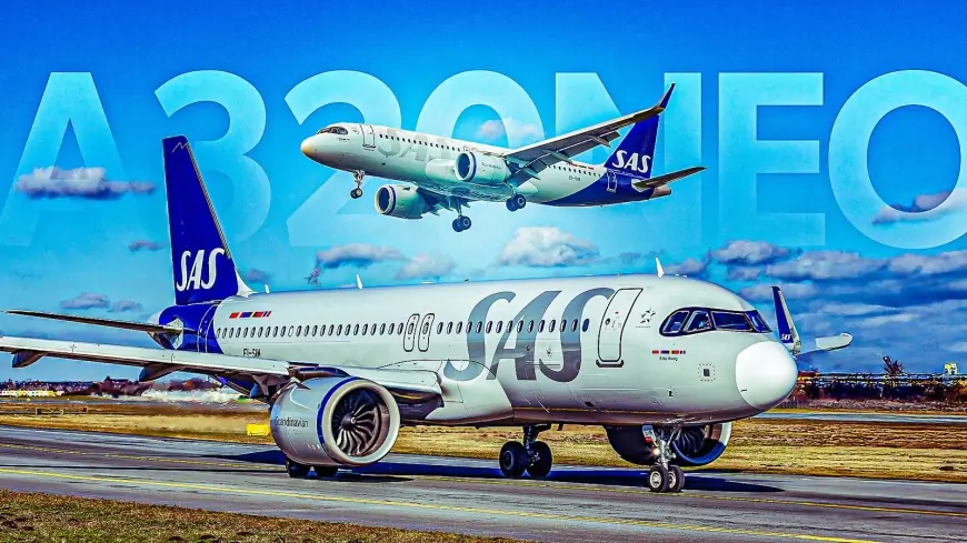 Mouse on Board Forces U-Turn as stockholm flights Face Major Delay