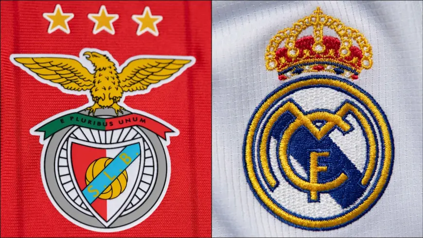 Real Madrid vs Benfica: where to watch champions league and why tie is pivotal for Alvaro Arbeloa
