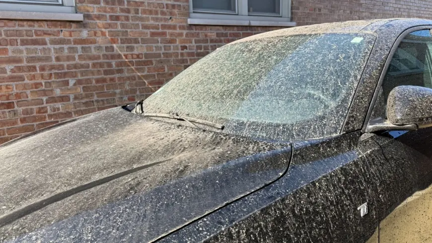 chicago weather: Why many woke to dust-covered cars after Wednesday’s rain