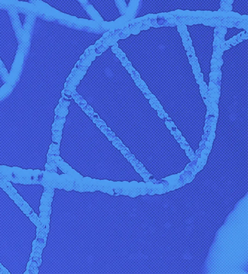 dire wolf siblings Romulus and Remus Hit New Pack Milestones as Trio Matures