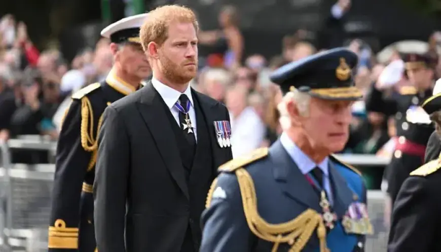 King Charles Secures Special Role for Prince Harry’s Future