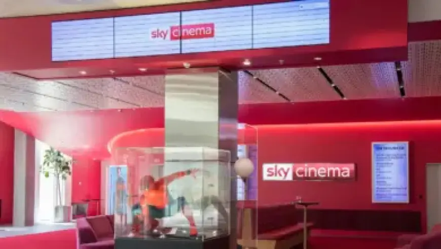 Viral Baby Monkey Video Touches Hearts Worldwide