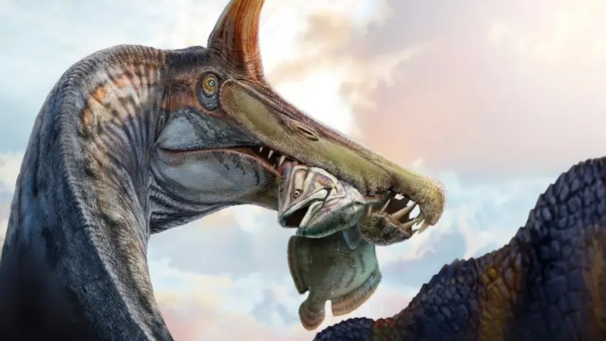 New Dinosaur Discovered: Scimitar-Crested Spinosaurus mirabilis Rekindles Swim Debate