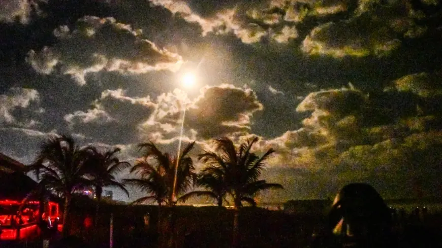 Spacex Rocket Launch from Cape Canaveral Delivers 29 Starlink Satellites, Booster Lands Near Bahamas