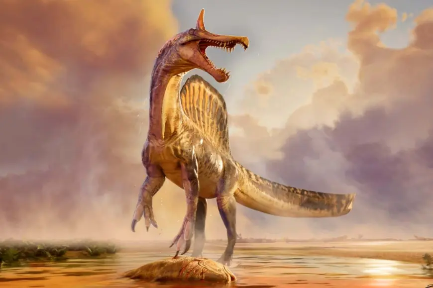 Spinosaurus discovery forces a rethink of its lifestyle and evolution — inland 'hell heron' species shifts the debate