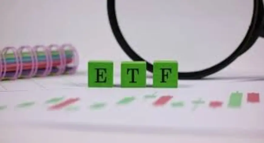 Vti daily snapshots listed for 2/16/26 and 2/19/26