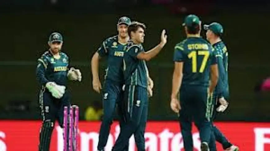 Oman National Cricket Team Vs Australia National Cricket Team Standings — Marsh blitz seals emphatic nine-wicket win