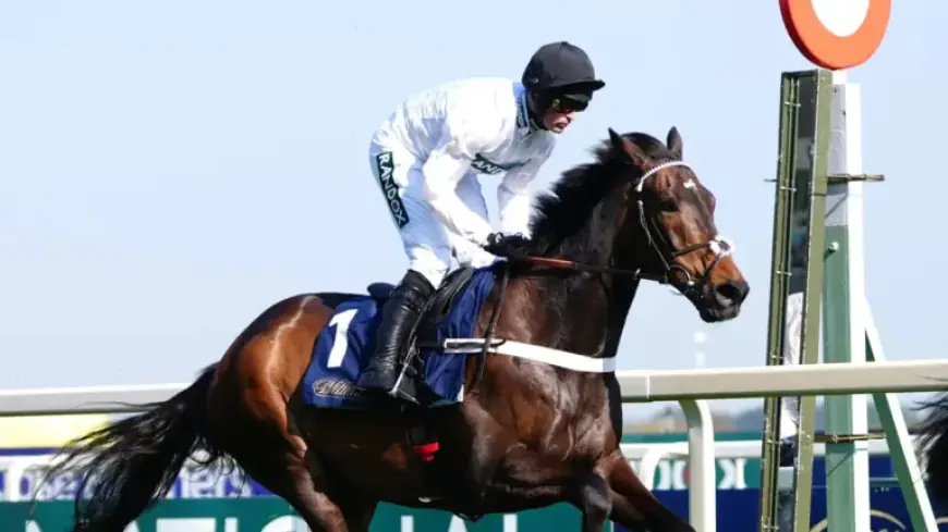 Constitution Hill’s Flat Debut Highlights Sky Sports Racing at Southwell and Ffos Las