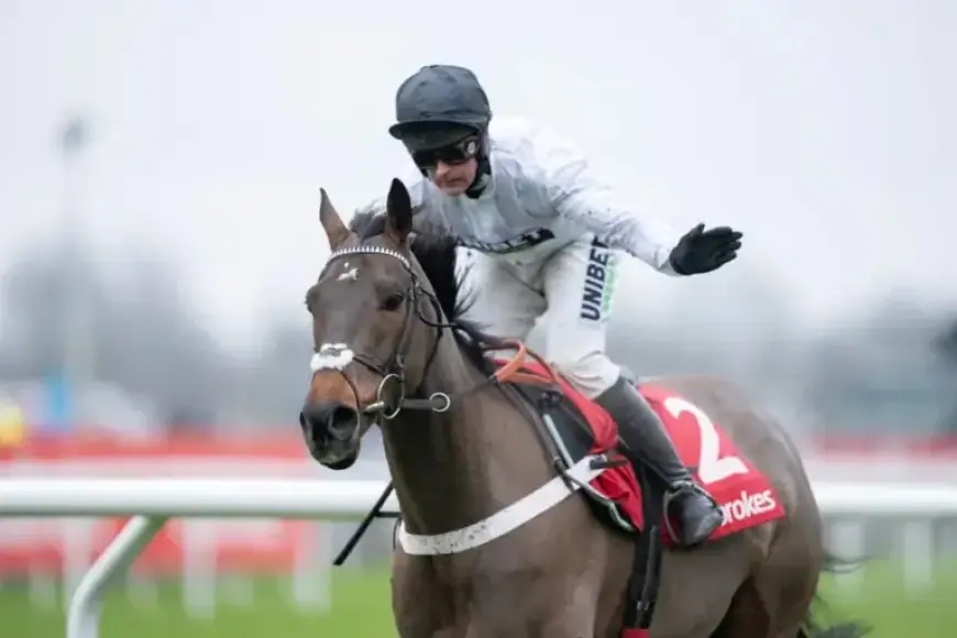 Constitution Hill Overtaken by Amo Racing Rival in Betfair Exchange Betting Battle