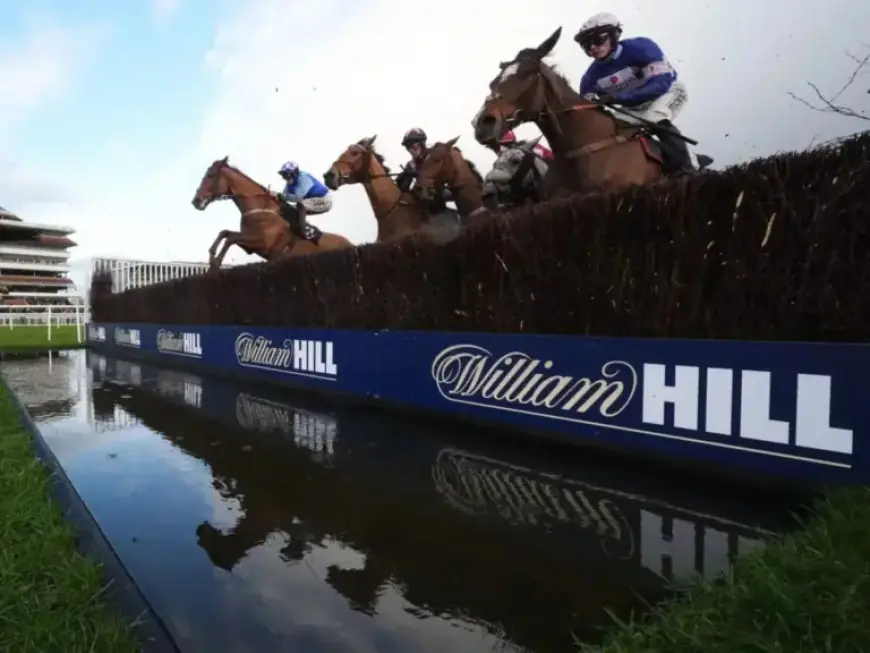 Gordon Elliott’s Top 2026 Cheltenham Festival Prospects Analyzed