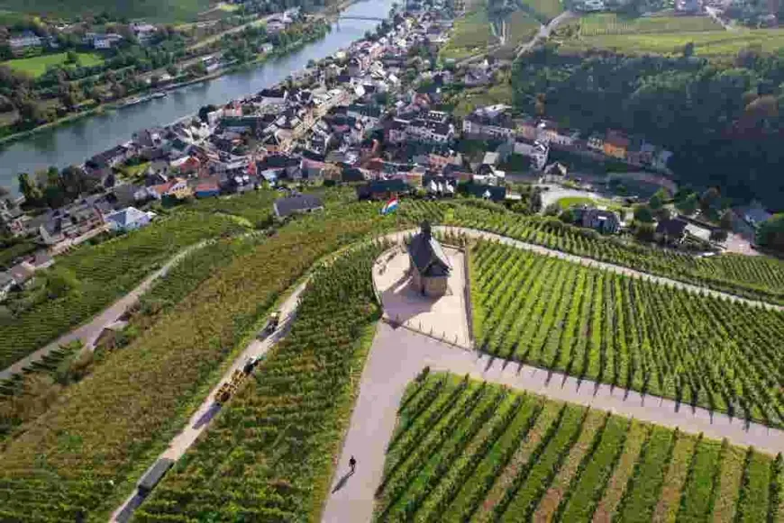 MAHA Moms Turn Against Trump Over Glyphosate (glyphosate) Order