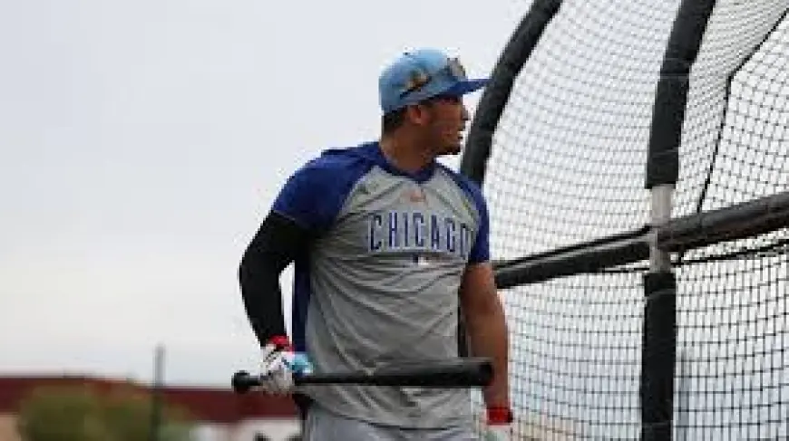 Cubs Fans: Practical steps to control cookie consent on German-language sites and apps