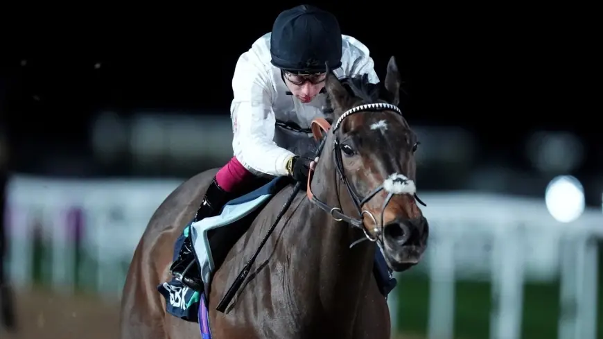 Constitution Hill could switch to Flat full-time after triumphant Southwell debut