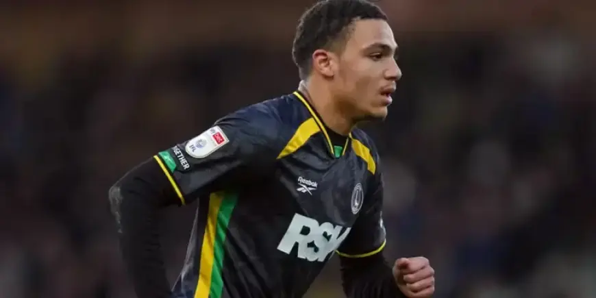 Watch Southampton Game: Streaming Guide and Viewing Options