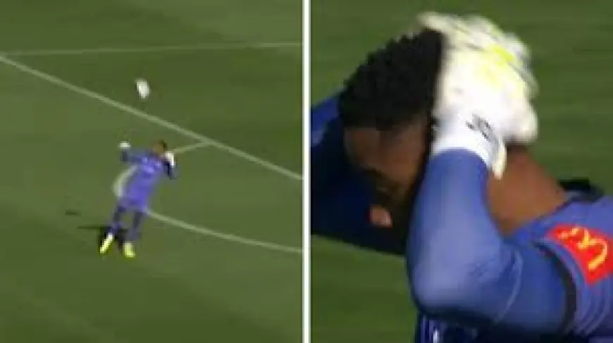 Josh Oluwayemi own-goal triggers managerial exit and forces rapid Wellington Phoenix reset