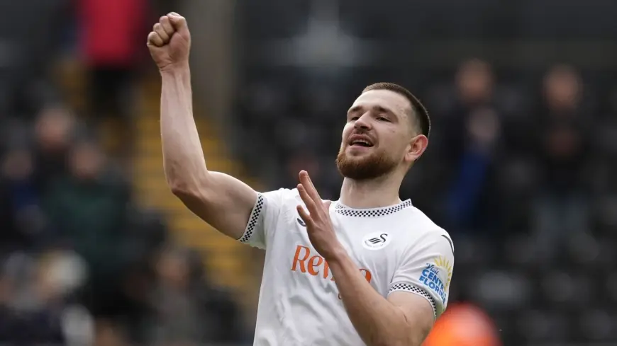 Swansea Vs Bristol City — Vipotnik strike hands Swans a 1-0 win