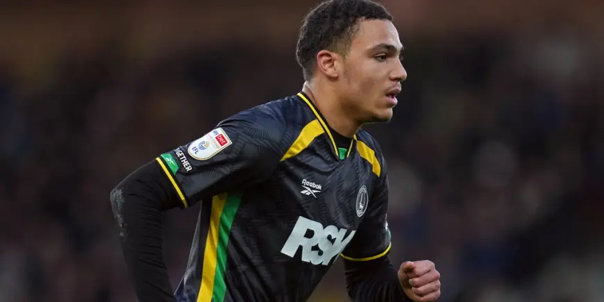 Southampton Vs Charlton: Sonny Carey’s second-half strike earns Addicks a hard-fought point at St Mary's