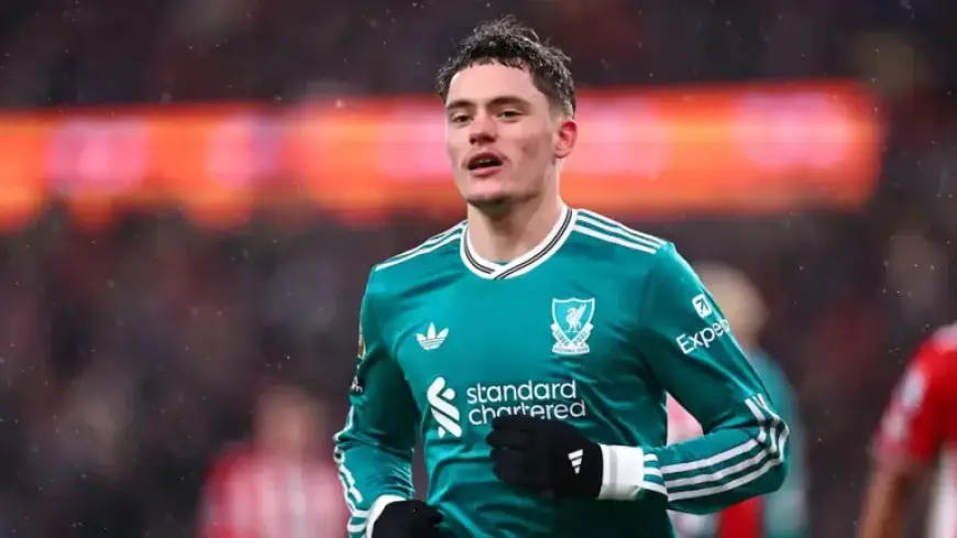 Florian Wirtz Injury Sparks Concerns for DFB Star