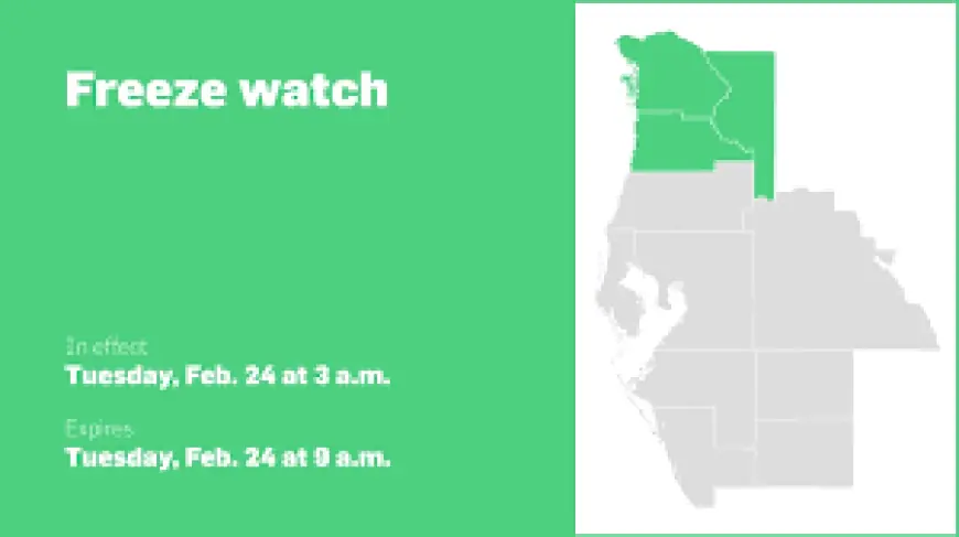 Freeze Watch: Central West Florida Faces Sharp Cold — Temperatures to Dip to 27