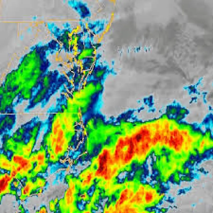 Nyc Travel Ban: nyc travel ban announced as first flurries fall and blizzard warning extended