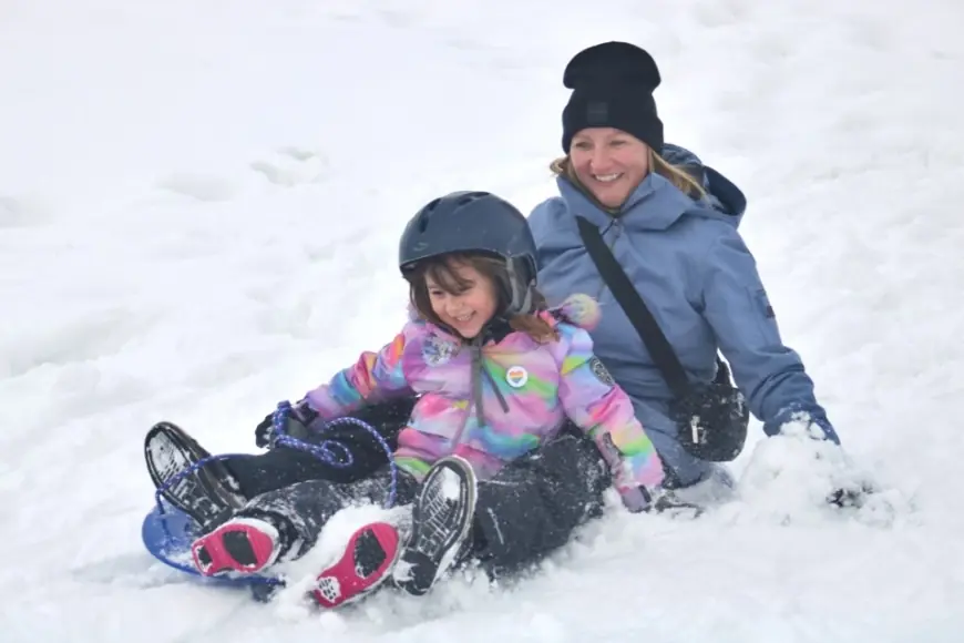 Snow Day Calculator 2026: How AI Predicts School Closures Amid the Blizzard of '26