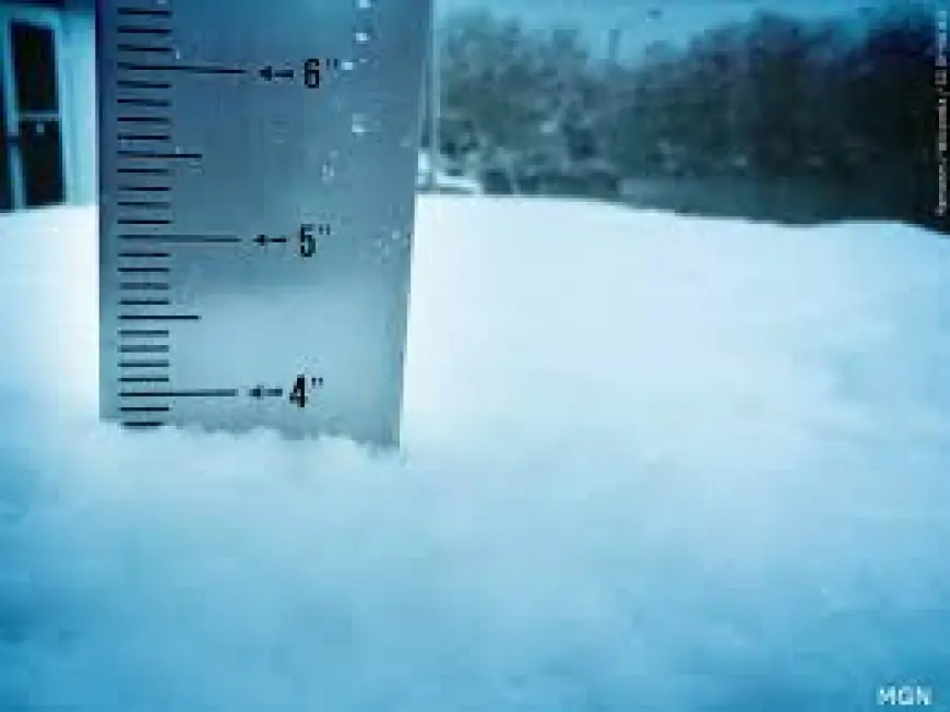 Donner Pass: Snowfall Totals for Feb. 19–20 and Grayson College’s 12th Straight Win