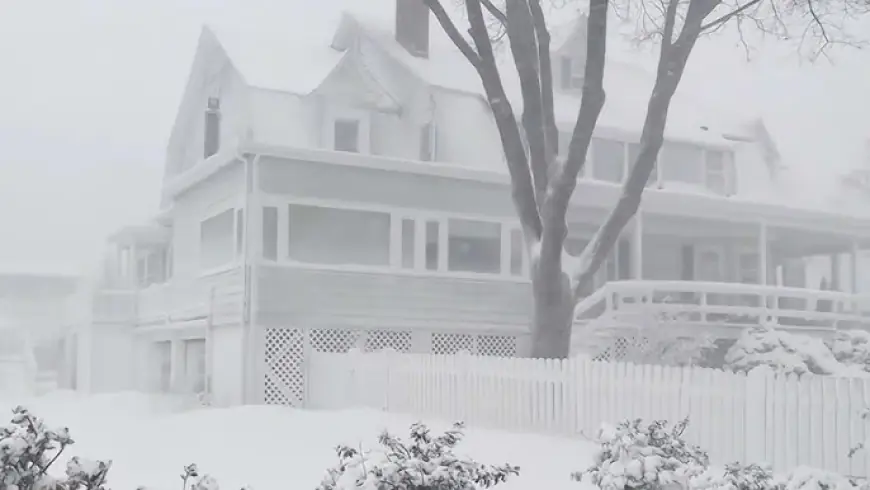 Boston Blizzard 2026 LIVE: Massachusetts State of Emergency, 280,000+ Power Outages, School Cancellations and Snow Totals