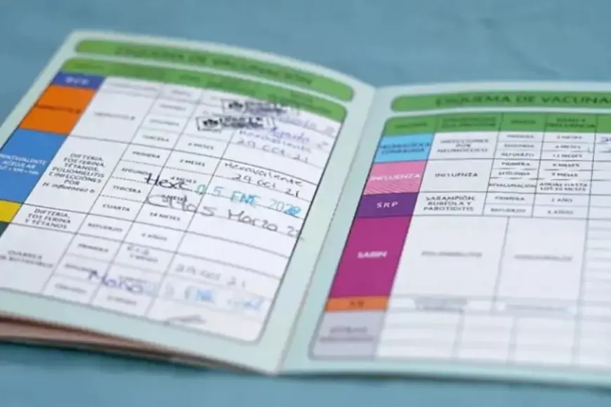 Cabo San Lucas: Is the Vaccination Card Required to Enroll Children in School? Latest on Measures and Guidance