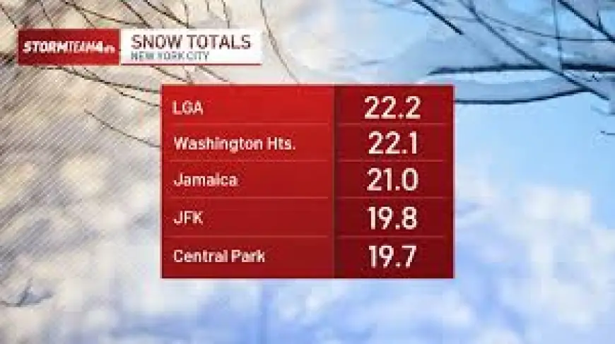 New York Travel Ban and Northeast Record Snow Shut Down Cities as More Than 5,675 Flights Are Canceled