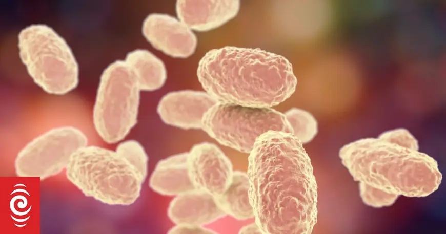 Vanuatu whooping cough: outbreak said under control as seven die in vanuatu