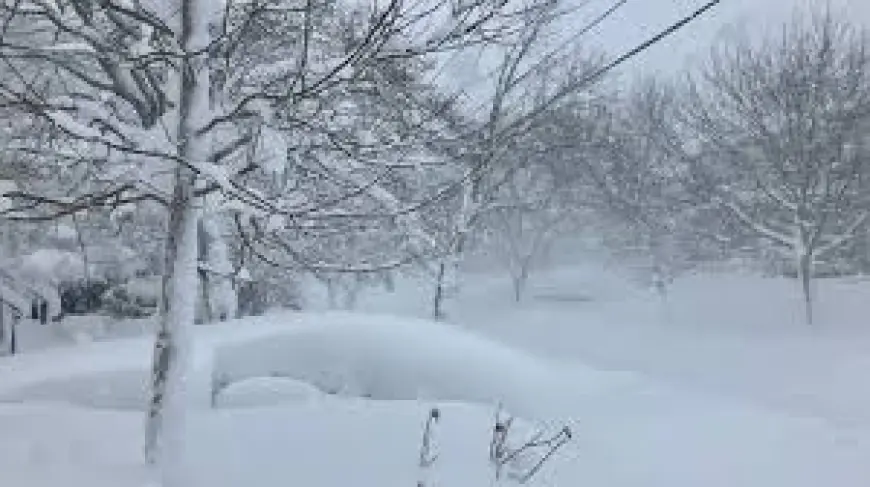 Blizzard Of 78 coverage met with site notices