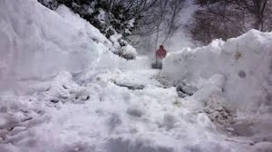 How Much Snow Did Boston Get as Mass. Schools Close Tuesday