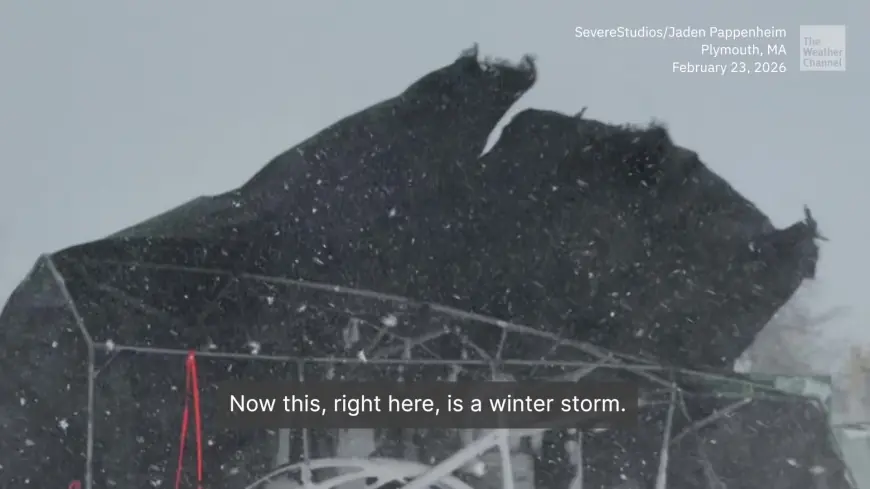 Snow Storm Weather Forecast New York: Near-impossible travel, blizzard warning and record East Coast snowfall