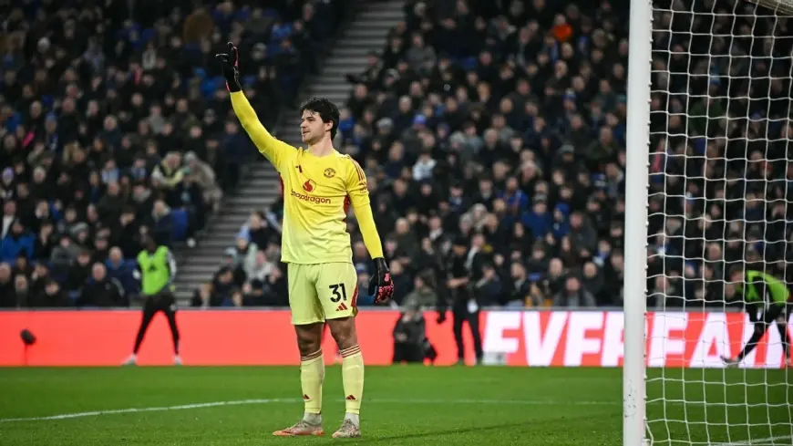 Everton Vs Man United: Sesko Winner and Lammens Calm Lift United Into Champions League Contention