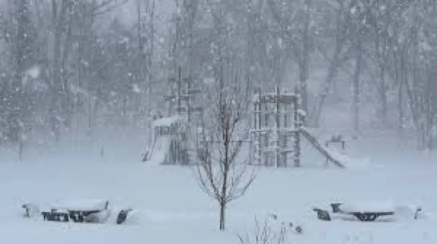 Dte Outage Map: How a Historic Blizzard Left Campus Communities and City Services Strained