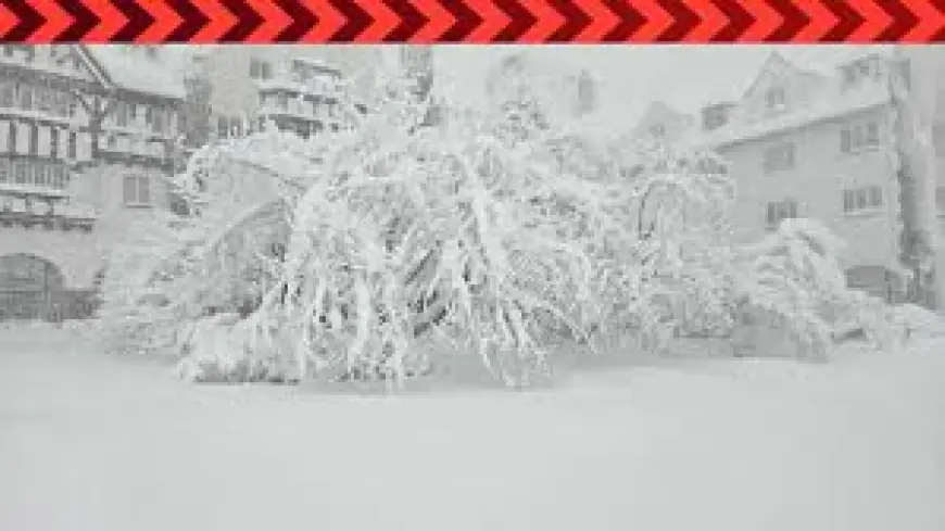 Snow Storm Weather Forecast New York: 'Near impossible' travel as Blizzard of 2026 batters the Northeast