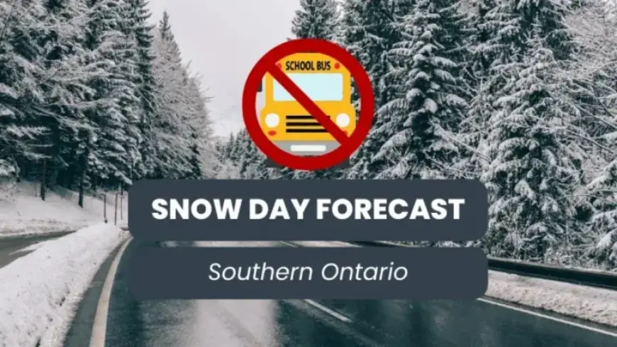Southern Ontario Prepares for February 24, 2026 Snowfall